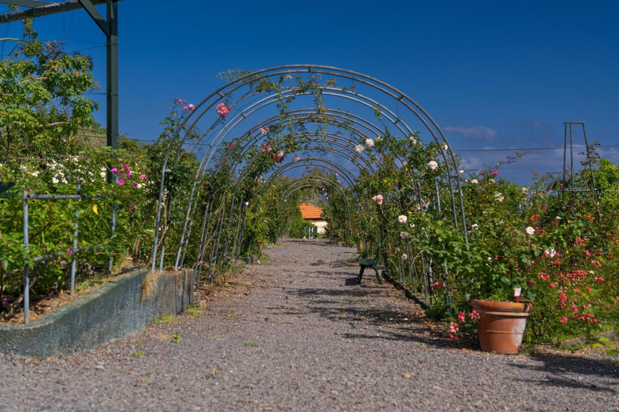 Pestana Quinta Do Arco Nature & Rose Garden Hotel Arco de Sao Jorge Luaran gambar